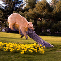 Bear Pause (Monument) (Edition of 27) by Walt Horton | Bronze | Sage Creek Gallery