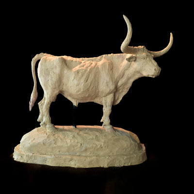 Texas (Edition of 50) by Scott Rogers | Bronze | Sage Creek Gallery