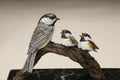 Family Time (Edition of 48) by Eugene Morelli | Bronze | Sage Creek Gallery