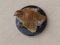 Mother's Love (Edition of 19) by Diane Mason | Bronze | Sage Creek Gallery