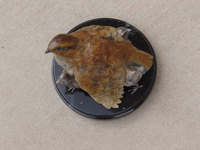 Mother's Love (Edition of 19) by Diane Mason | Bronze | Sage Creek Gallery