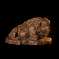 The Old Warrior (Edition of 30) by Scott Rogers | Bronze | Sage Creek Gallery