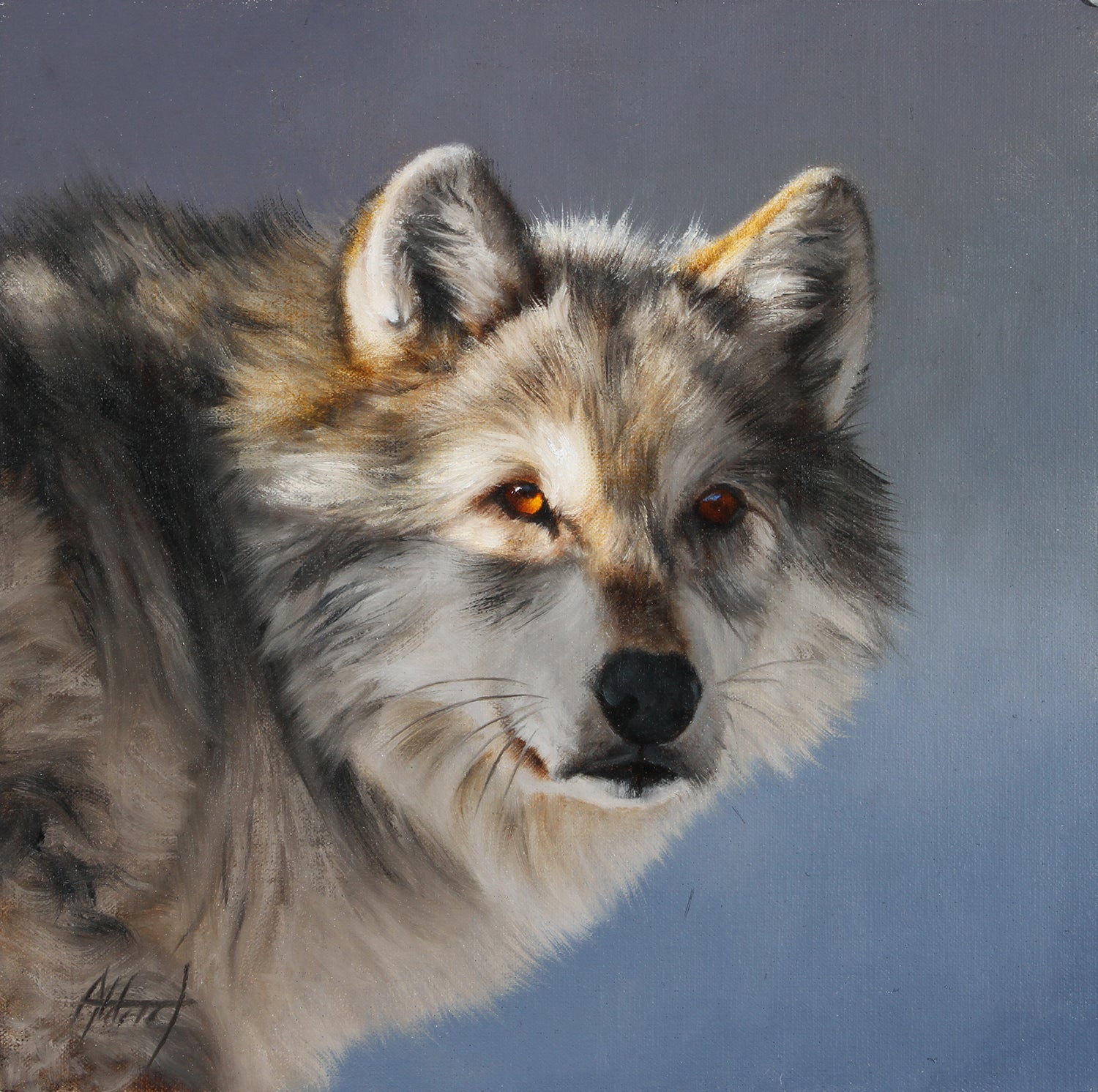 Wolf Portrait by Ed Aldrich | Oil | Sage Creek Gallery