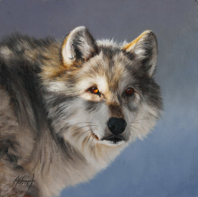 Wolf Portrait by Ed Aldrich | Oil | Sage Creek Gallery