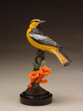 Bullock's Oriole (Edition of 36) by Joan Zygmunt | Bronze | Sage Creek Gallery