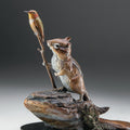 Leave Nothing but Footprints (Edition of 45) by Kim Kori | Bronze | Sage Creek Gallery