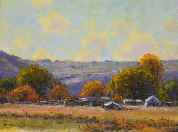 Dan Young