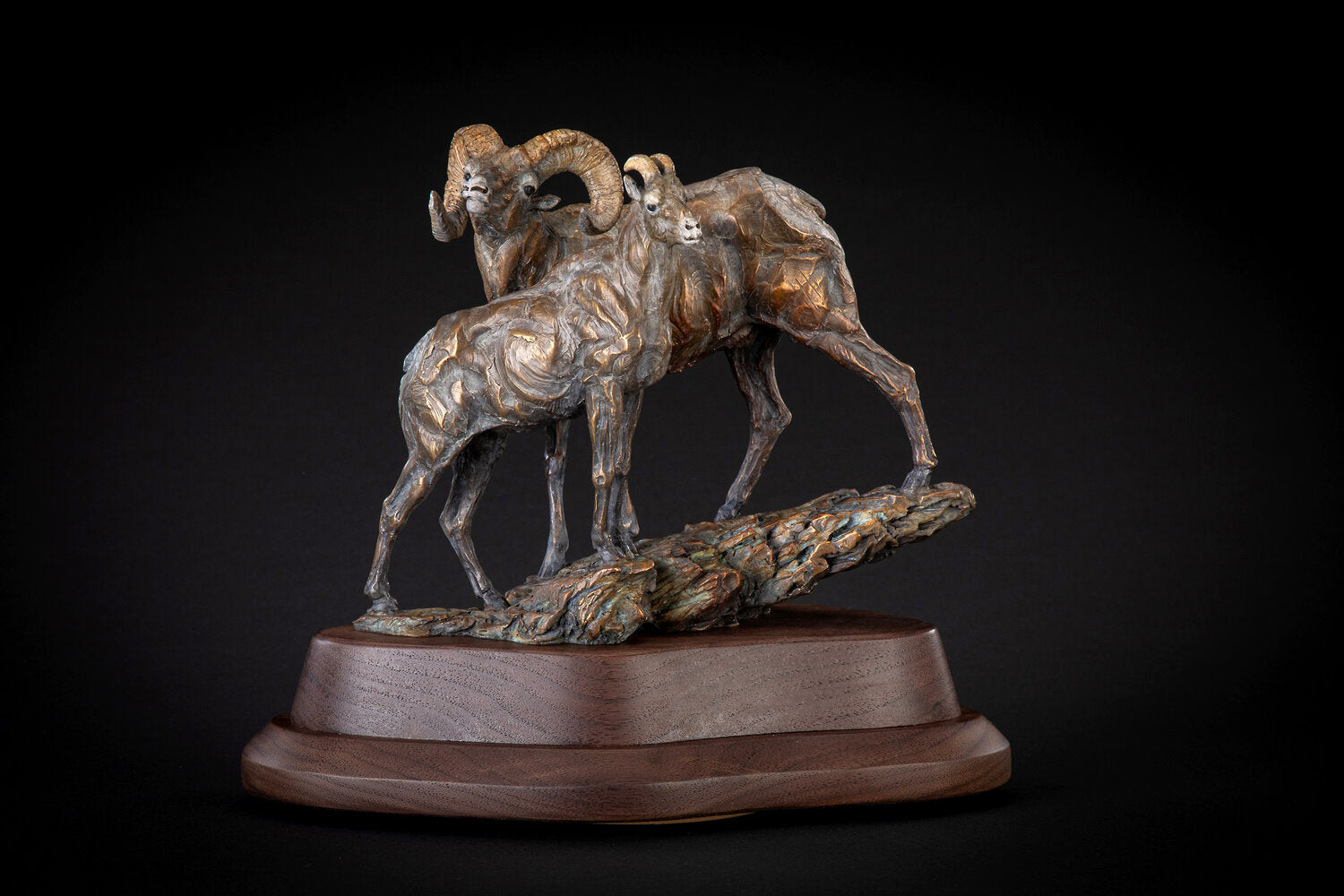 Looking for Ewe (Edition of 35) by Ken Rowe | Bronze | Sage Creek Gallery