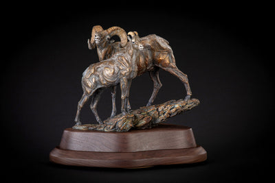 Looking for Ewe (Edition of 35) by Ken Rowe | Bronze | Sage Creek Gallery