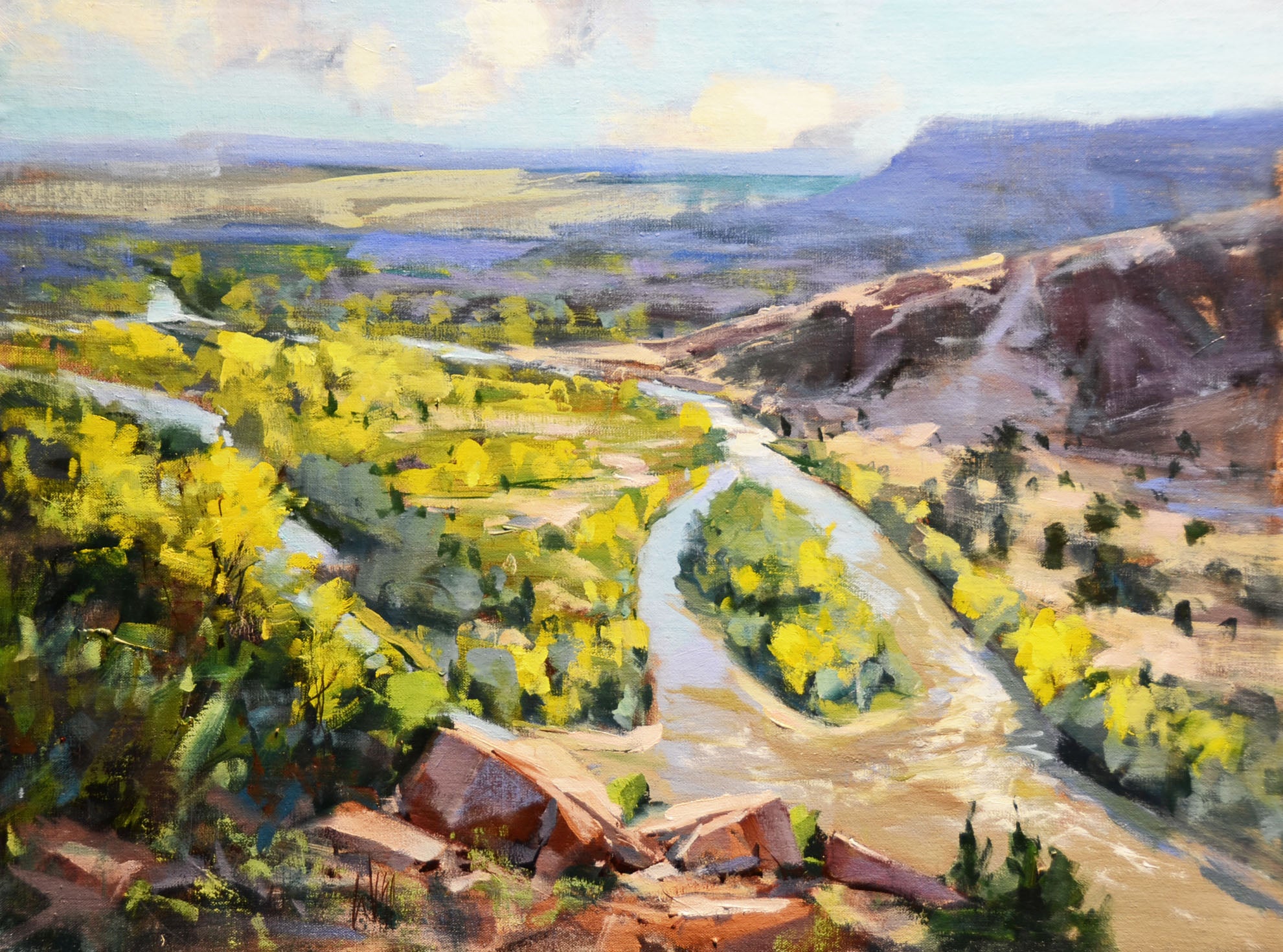 Rio Chama Split by Mike Wise | Oil | Sage Creek Gallery