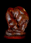 Awakening (Edition of 30) by Lincoln Fox | Bronze | Sage Creek Gallery