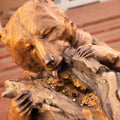 Sweet Tooth (Garden Sized) (Edition of 35) by Walt Horton | Bronze | Sage Creek Gallery