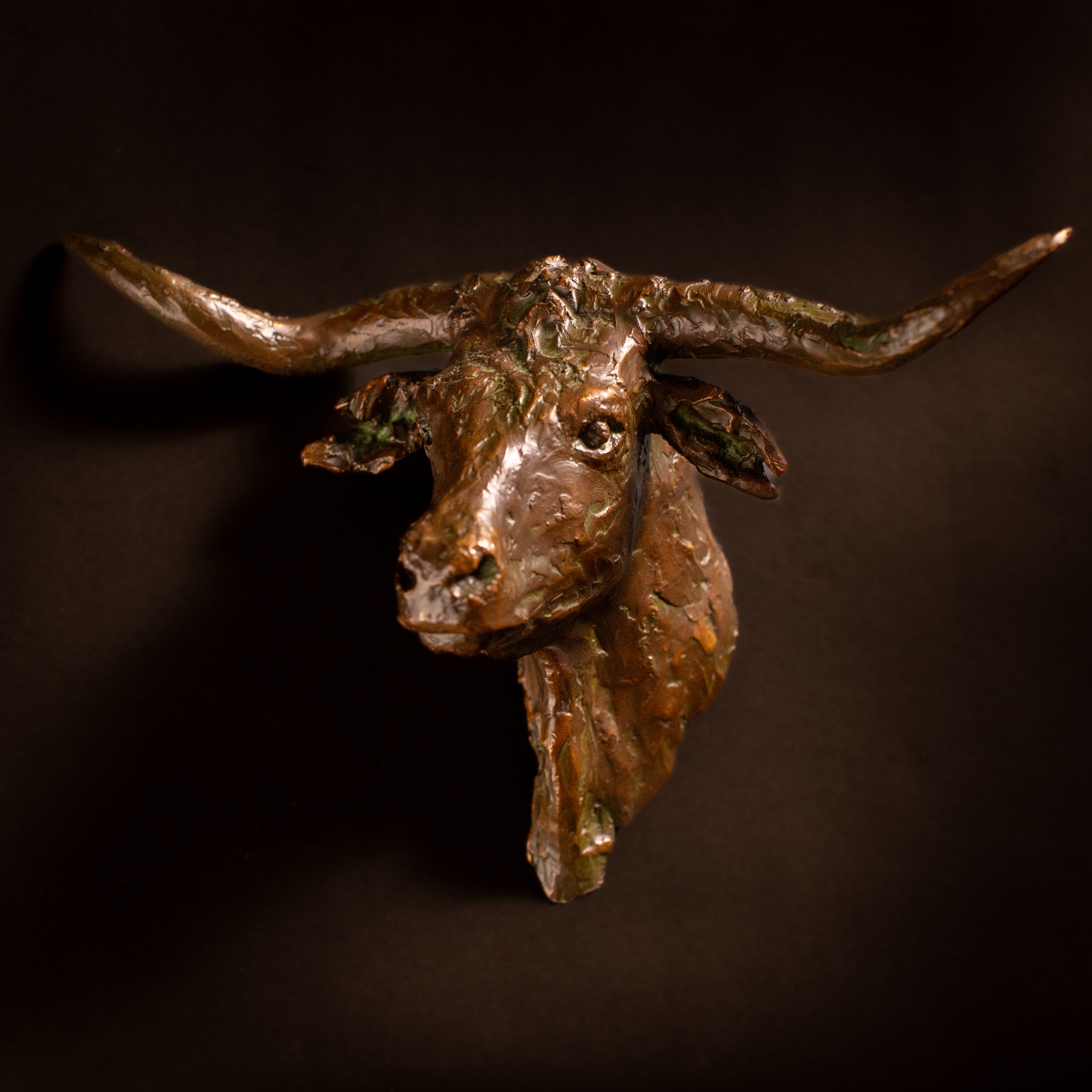 Steer Head (Straight) Wall Mount (Edition of 30) by Scott Rogers | Bronze | Sage Creek Gallery