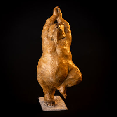 Yoga Bear (Tree Pose) (Edition of 200) by Walt Horton | Bronze | Sage Creek Gallery