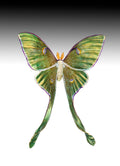 Luna (Edition Open) by Kim Kori | Bronze | Sage Creek Gallery