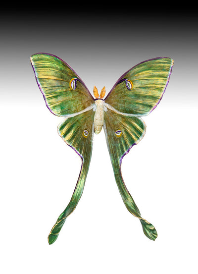 Luna (Edition Open) by Kim Kori | Bronze | Sage Creek Gallery