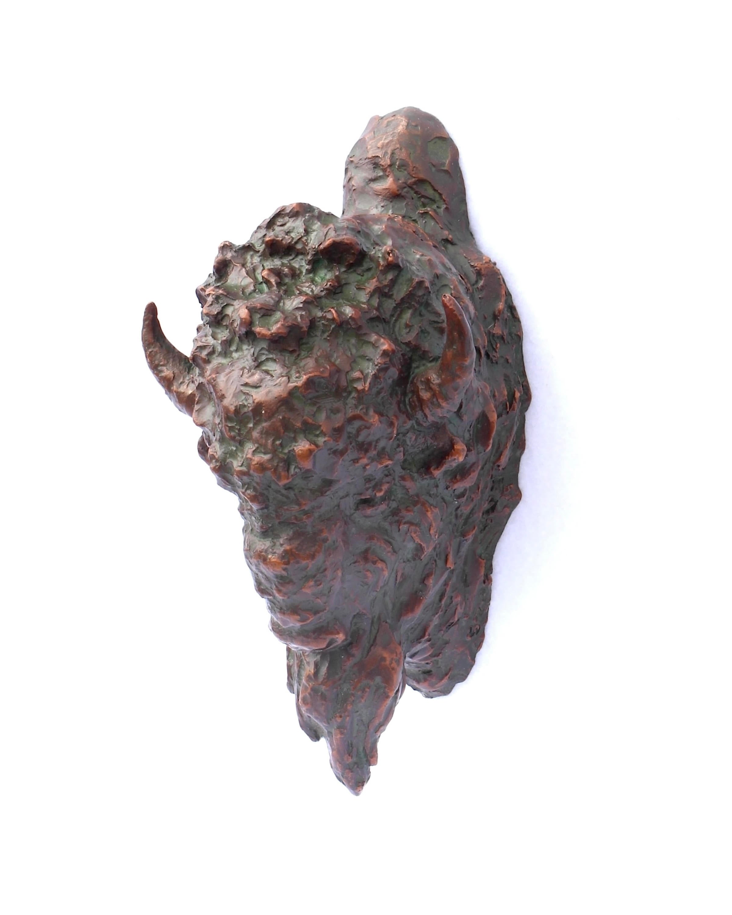 Buffalo Head (Edition of 50) by Scott Rogers | Bronze | Sage Creek Gallery