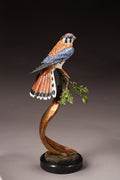 Kestrel on Watch (Edition of 36) by Eugene Morelli | Bronze | Sage Creek Gallery
