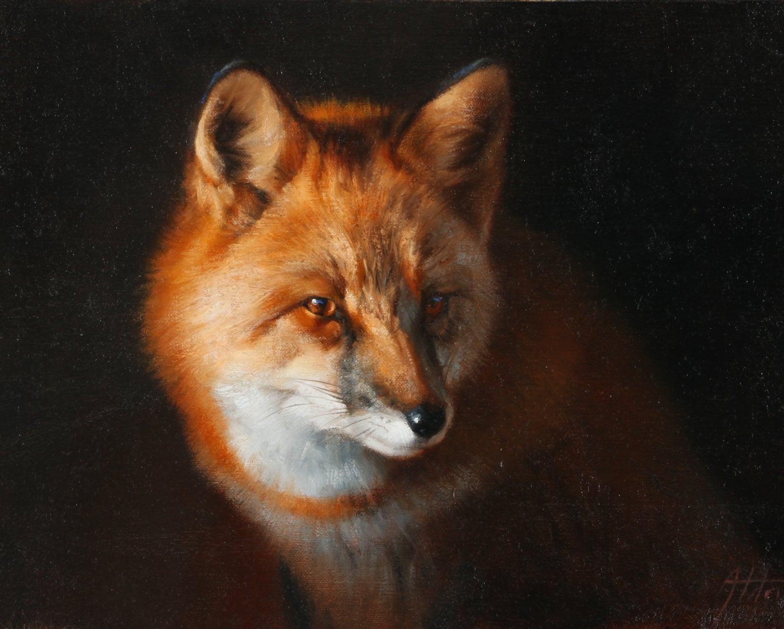 Fox Portrait by Ed Aldrich | Oil | Sage Creek Gallery