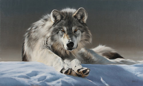 Captivating by Ed Aldrich | Oil | Sage Creek Gallery