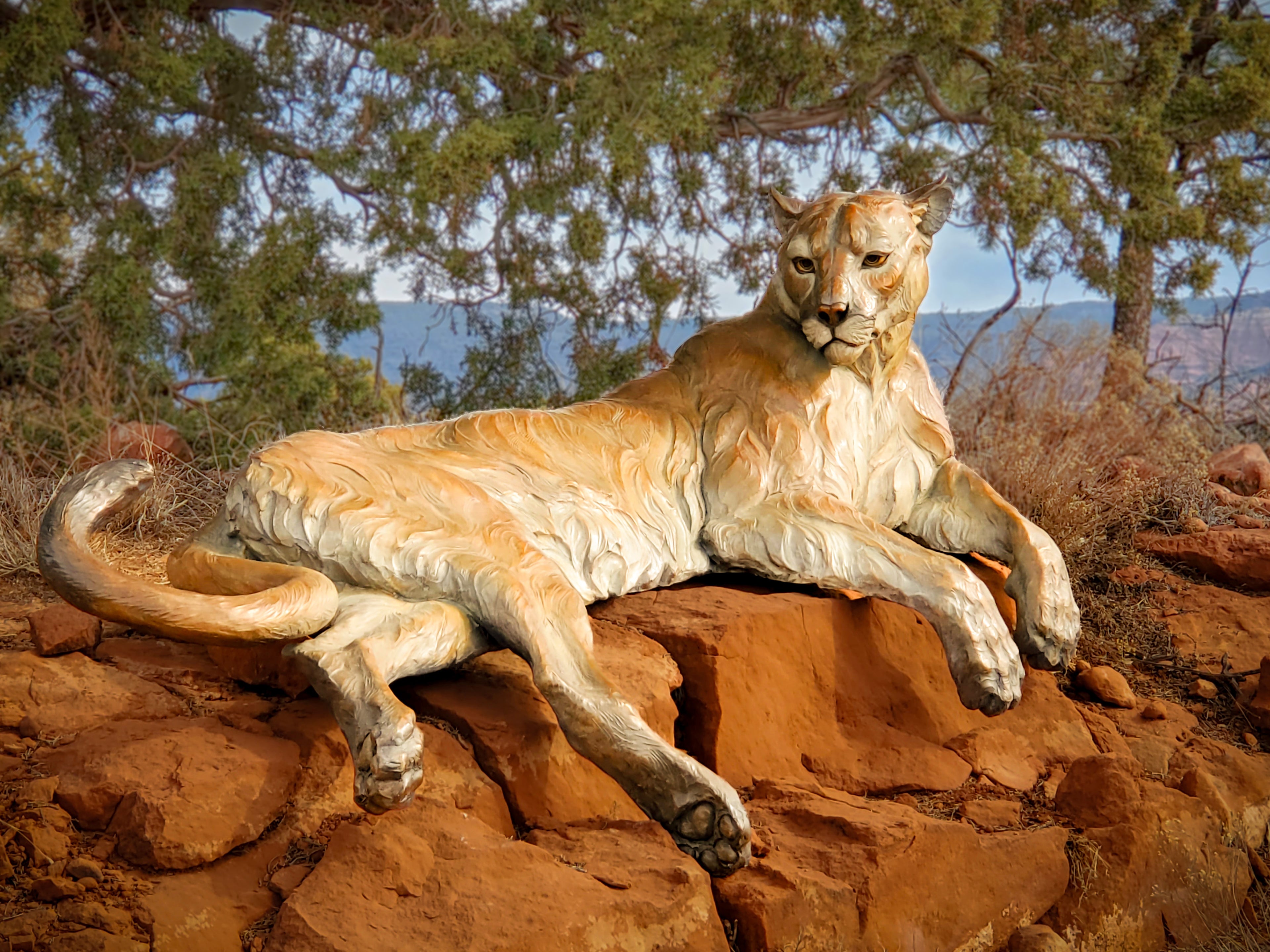 Vantage Point (Life Size) (Edition of 20) by Ken Rowe | Bronze | Sage Creek Gallery