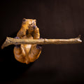 Embearassed, Bathroom Tissue Holder (Edition of 300) by Walt Horton | Bronze | Sage Creek Gallery