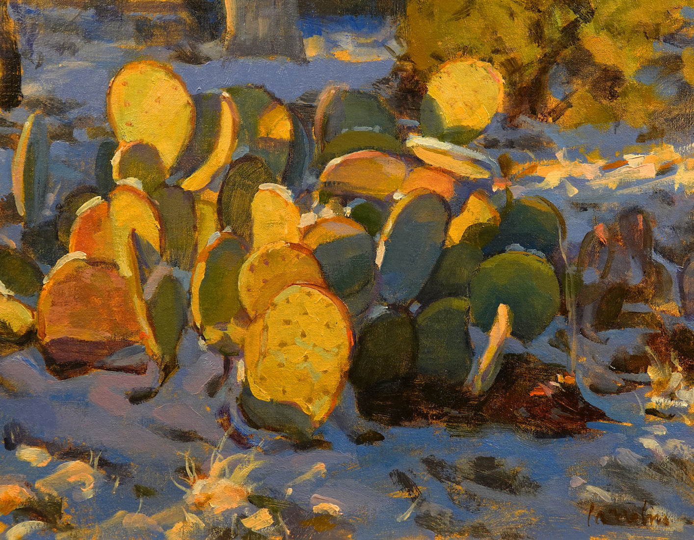 Snowy Cacti by Charles Iarrobino | Oil | Sage Creek Gallery
