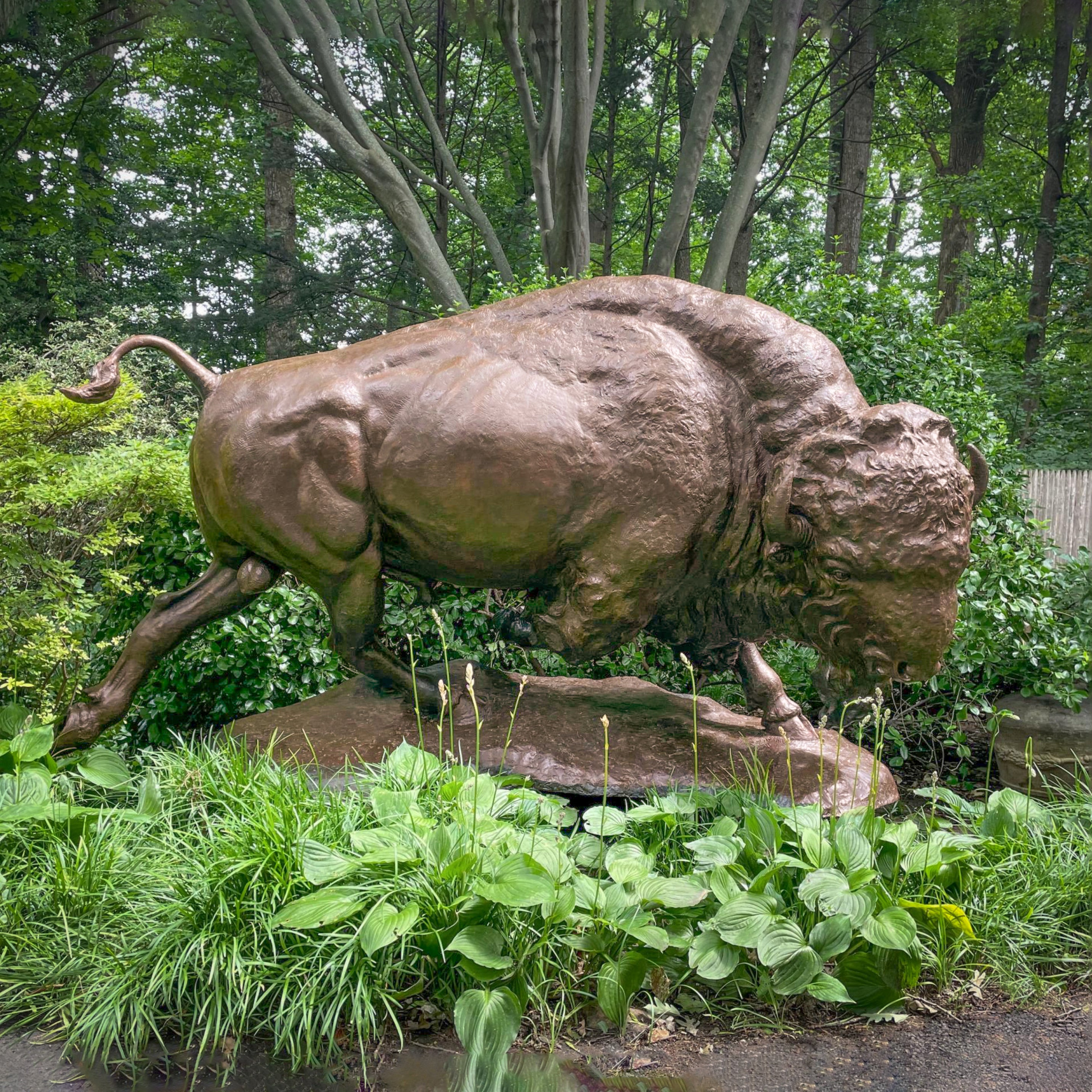 American Bison (Edition of 10) by Scott Rogers | Bronze | Sage Creek Gallery