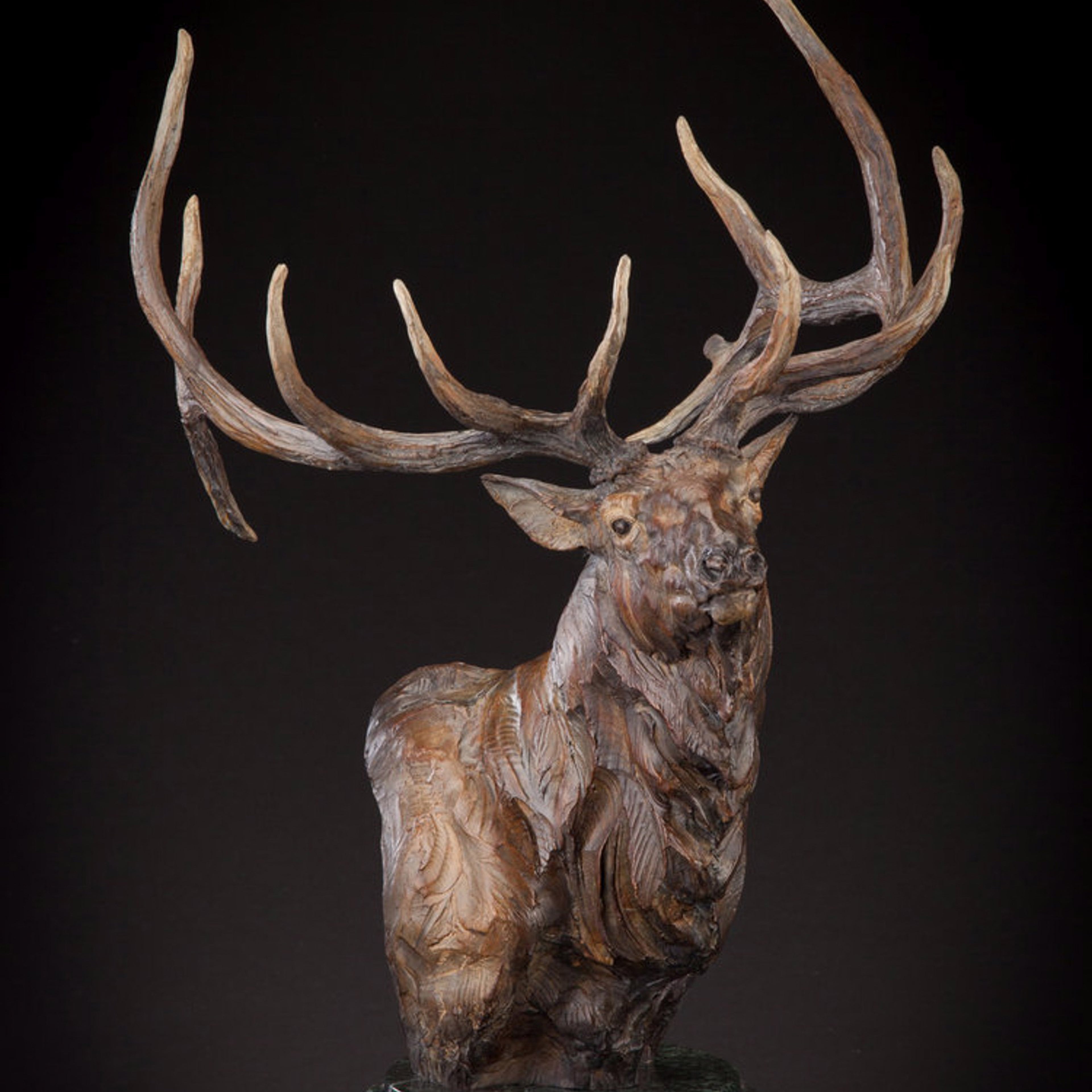 Nobility (Edition of 35) by Ken Rowe | Bronze | Sage Creek Gallery