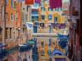 Still Hanging Around by Charles Iarrobino | Oil | Sage Creek Gallery