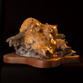 Two Pooped (Edition of 100) by Walt Horton | Bronze | Sage Creek Gallery
