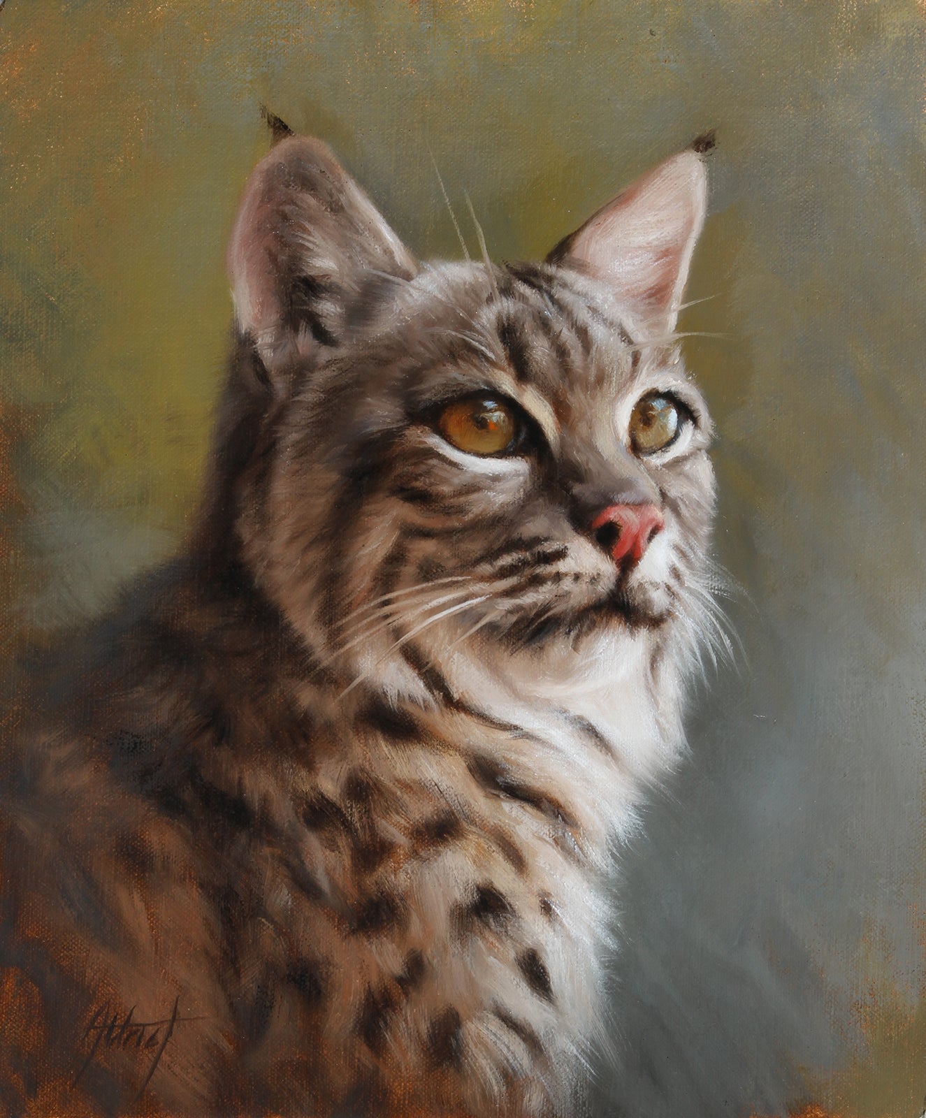 Bobcat Portrait by Ed Aldrich | Oil | Sage Creek Gallery
